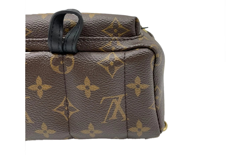 Louis Vuitton Palm Springs vinyl backpack