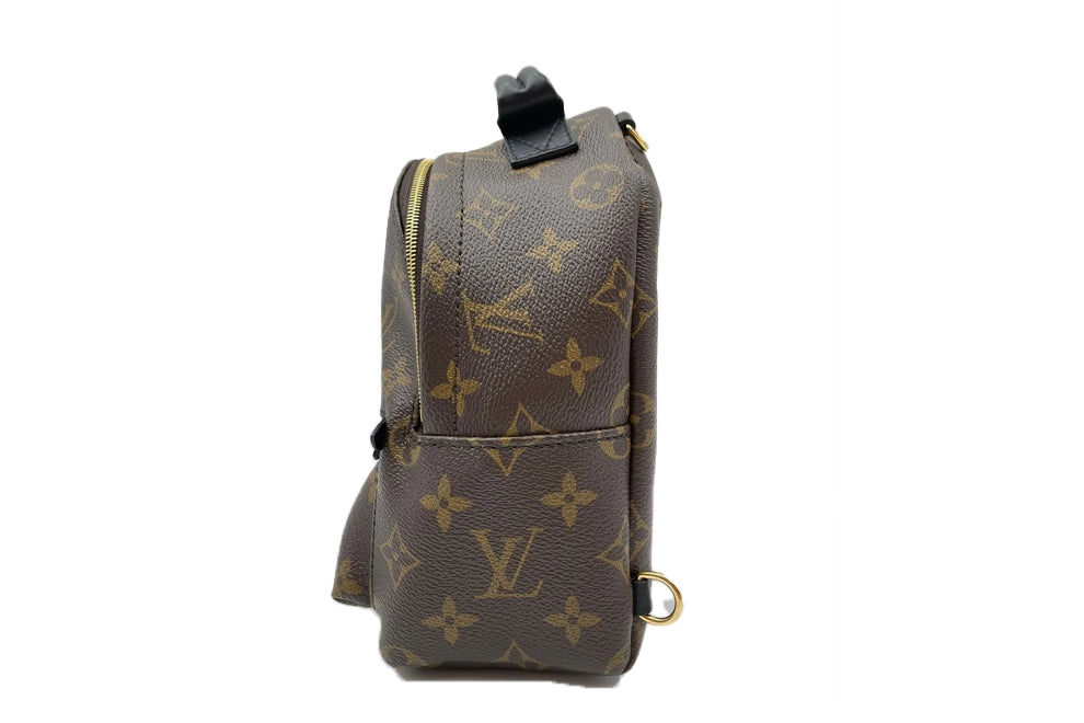 Louis Vuitton Palm Springs vinyl backpack