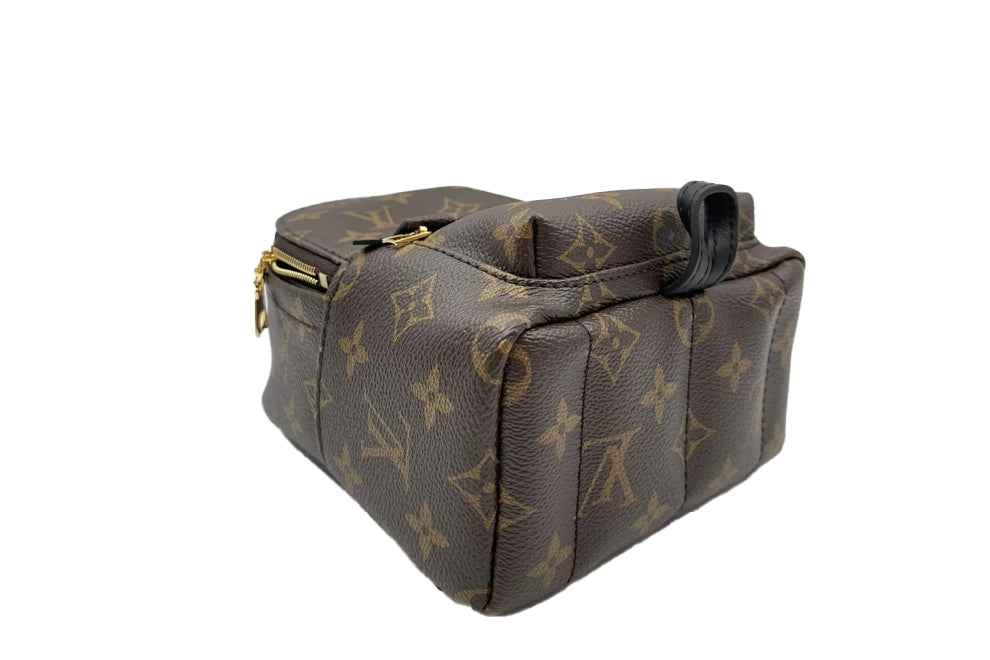 Louis Vuitton Palm Springs vinyl backpack