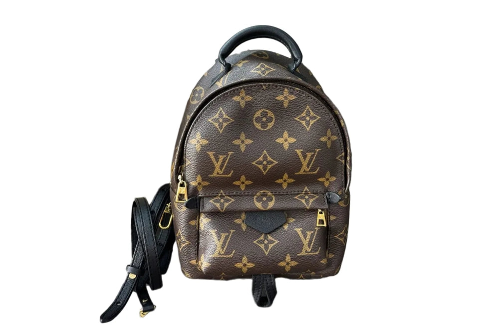 Louis Vuitton Palm Springs vinyl backpack