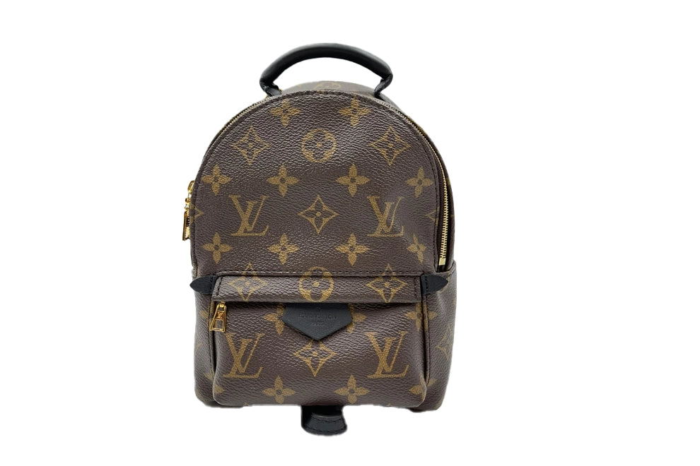 Louis Vuitton Palm Springs vinyl backpack