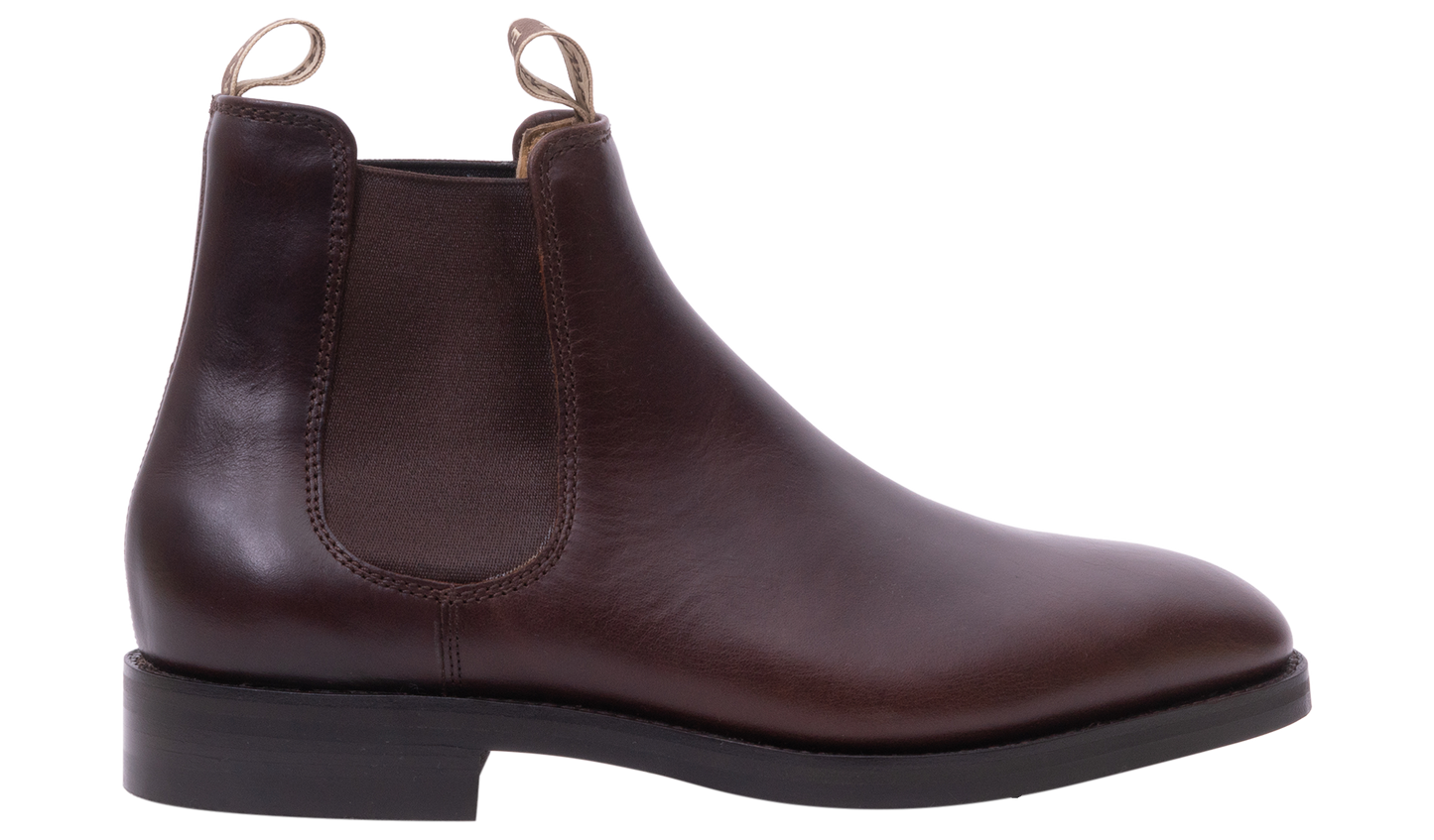 Sutton - Brown Pegasus