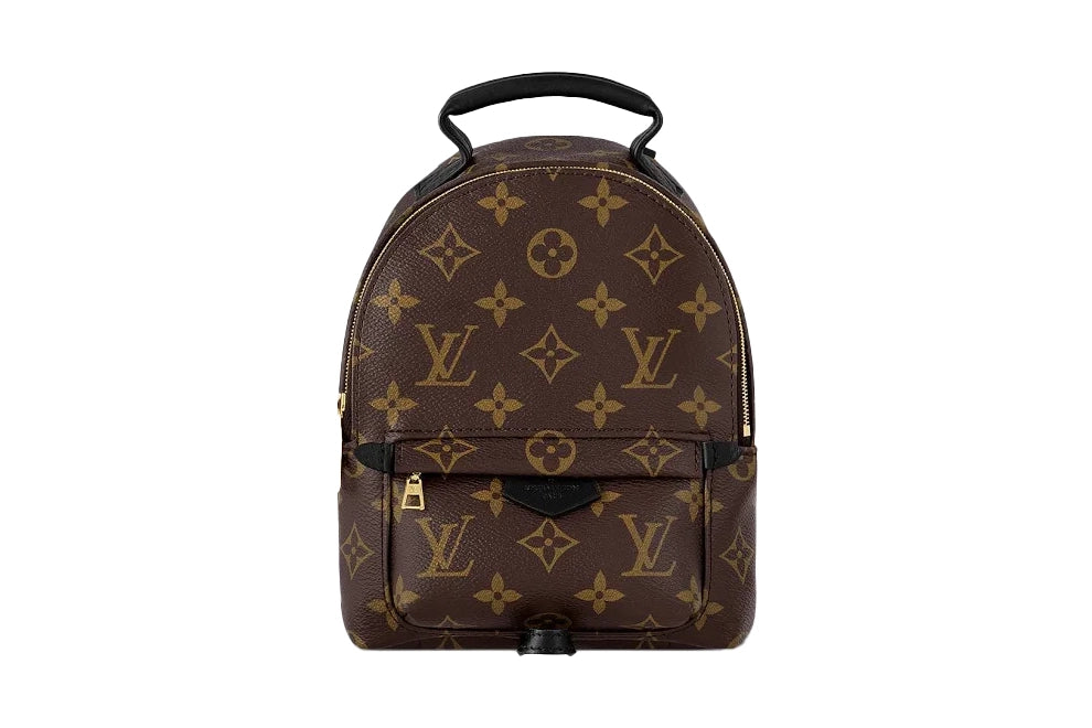 Louis Vuitton Palm Springs vinyl backpack